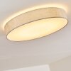 Tallaboa Plafondlamp LED Zilver, 1-licht, Afstandsbediening