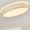 Tallaboa Plafondlamp LED Zilver, 1-licht, Afstandsbediening