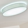 Tallaboa Plafondlamp LED Zilver, 1-licht, Afstandsbediening