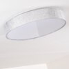Tallaboa Plafondlamp LED Zilver, 1-licht, Afstandsbediening
