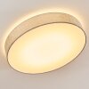 Tallaboa Plafondlamp LED Zilver, 1-licht, Afstandsbediening