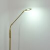 Gulkana Staande lamp LED Goud, 1-licht