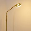 Gulkana Staande lamp LED Goud, 1-licht