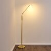 Gulkana Staande lamp LED Goud, 1-licht