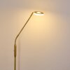 Gulkana Staande lamp LED Goud, 1-licht