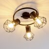 Bardhaman Plafondlamp Zwart, 3-lichts