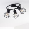 Bardhaman Plafondlamp Zwart, 3-lichts