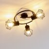 Bardhaman Plafondlamp Zwart, 3-lichts