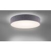 Paul Neuhaus Q-KIARA Plafondlamp LED Grijs, 1-licht, Afstandsbediening
