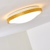 Sora Plafondlamp LED Wit, 1-licht