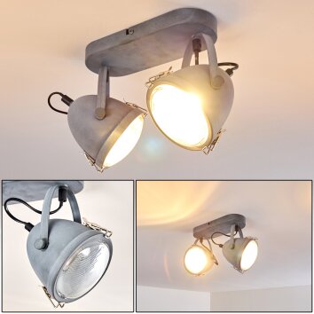 Butikon Plafondlamp Grijs, 2-lichts