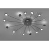 Trio Peacock Plafondlamp LED Zwart, 15-lichts