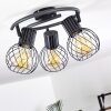 Kenia Plafondlamp Grijs, Zwart, 3-lichts
