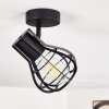 Gainesville Plafondlamp Zwart, 1-licht