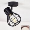 Gainesville Plafondlamp Zwart, 1-licht