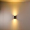 Nordborg Buiten muurverlichting LED Zwart, 2-lichts