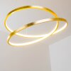 Stalon Hanglamp LED Goud, 1-licht