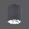 Paul Neuhaus GEORG Plafondlamp LED Antraciet, 1-licht