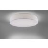 Paul Neuhaus Q-KIARA Plafondlamp LED Wit, 1-licht, Afstandsbediening