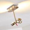 Florenz Plafondlamp LED Nikkel mat, 2-lichts