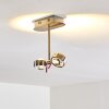 Florenz Plafondlamp LED Nikkel mat, 2-lichts