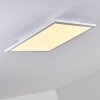 Bankura Plafondlamp LED Wit, 1-licht, Afstandsbediening, Kleurwisselaar