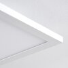 Bankura Plafondlamp LED Wit, 1-licht, Afstandsbediening, Kleurwisselaar
