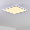 Bankura Plafondlamp LED Wit, 1-licht, Afstandsbediening, Kleurwisselaar