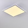Bankura Plafondlamp LED Wit, 1-licht, Afstandsbediening, Kleurwisselaar