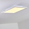 Bankura Plafondlamp LED Wit, 1-licht, Afstandsbediening, Kleurwisselaar