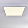 Bankura Plafondlamp LED Wit, 1-licht, Afstandsbediening, Kleurwisselaar