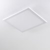 Bankura Plafondlamp LED Wit, 1-licht, Afstandsbediening, Kleurwisselaar