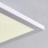 Bankura Plafondlamp LED Wit, 1-licht, Afstandsbediening, Kleurwisselaar