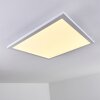 Bankura Plafondlamp LED Wit, 1-licht, Afstandsbediening, Kleurwisselaar