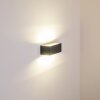 Gemini Buiten muurverlichting LED Antraciet, 1-licht