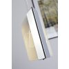 Datong Hanglamp LED Aluminium, Chroom, 1-licht