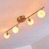 Motala Plafondlamp LED Nikkel mat, 4-lichts, Afstandsbediening, Kleurwisselaar