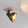 Svanfolk Plafondlamp Bruin, Zwart, 1-licht