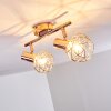 Palmira Plafondlamp Koperkleurig, 2-lichts