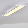 Salmi Plafondlamp LED Wit, 1-licht
