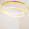 Stalon Hanglamp LED Goud, 1-licht