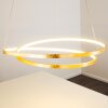 Stalon Hanglamp LED Goud, 1-licht
