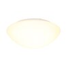 Steinhauer Lotti Plafondlamp LED Wit, 1-licht