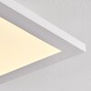 Salmi Plafondlamp LED Wit, 1-licht