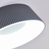 Fremont Plafondlamp LED Grijs, 1-licht