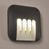 Silvso Buiten muurverlichting LED Antraciet, 4-lichts