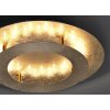 Paul Neuhaus NEVIS Plafondlamp LED Goud, 1-licht