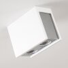 Braslo Plafondlamp Chroom, Wit, 2-lichts