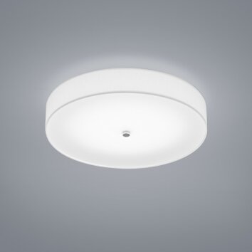 Helestra Bora Plafondlamp LED Nikkel mat, 1-licht