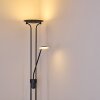 Abiqua Staande lamp LED Zwart, 2-lichts
